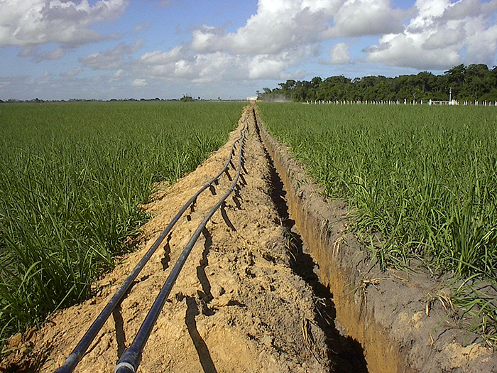 Alagoas secondary recovery